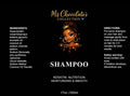 Moisturizing Shampoo – Mz Chocolate’s Collection